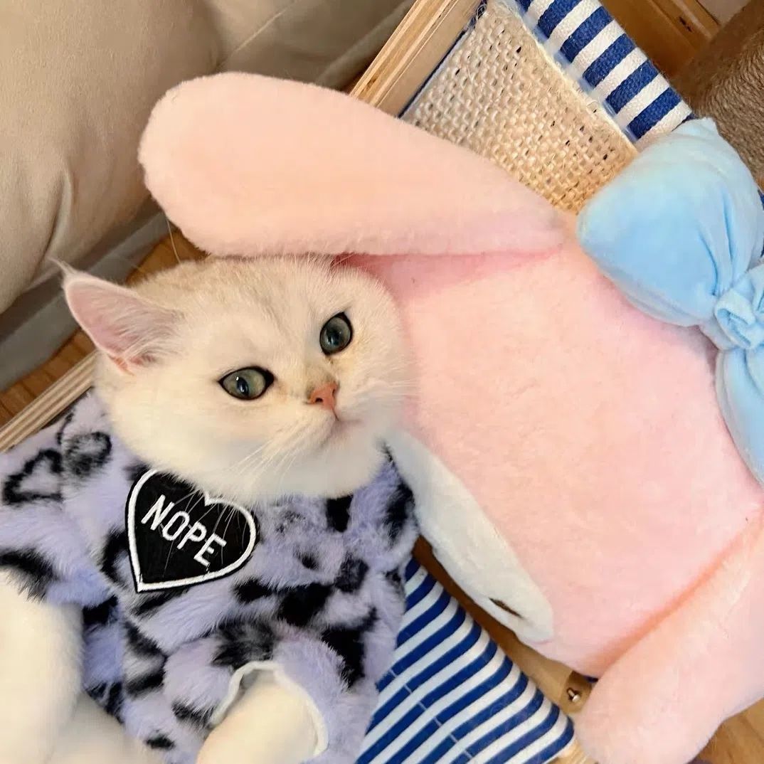 Pink leopard print pet cat clothing